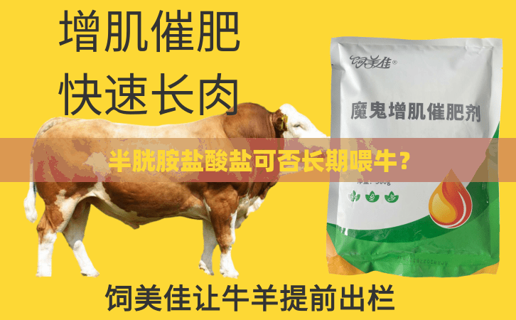 半胱胺盐酸盐可否长期喂牛？