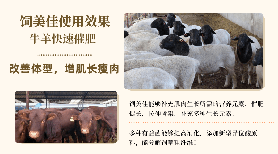 牛羊养殖户使用牛羊预混料经济划算吗？