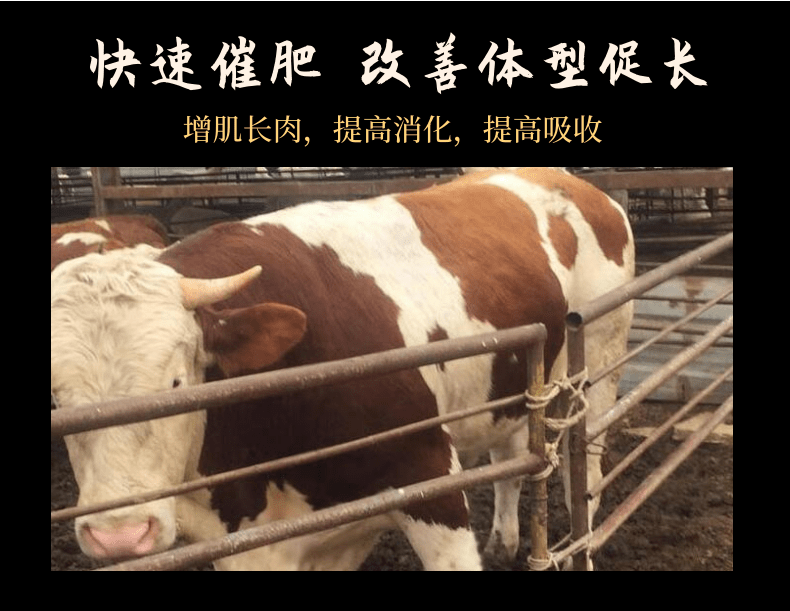 牛健胃催肥剂使用什么产品好？