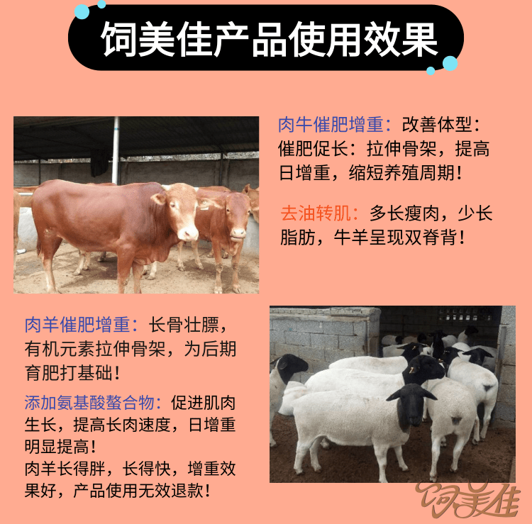 牛羊增肥药催肥剂有用吗？