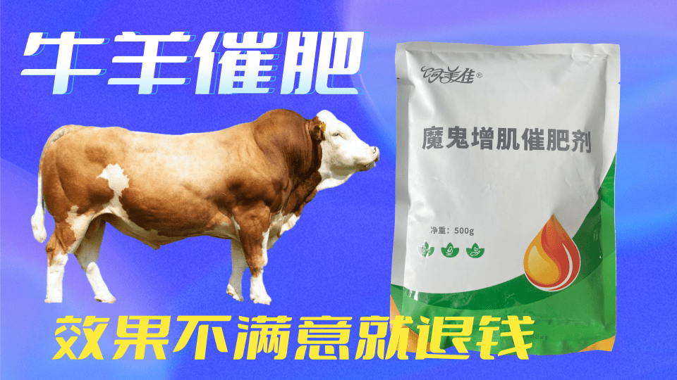 牛吃催肥增重管用吗